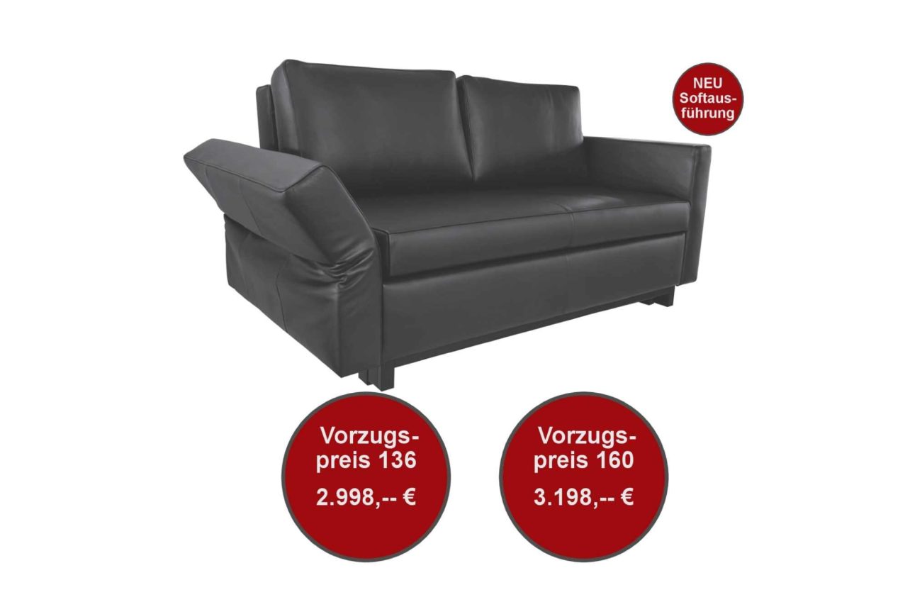 Schlafsofa Moritz-Aktion Leder